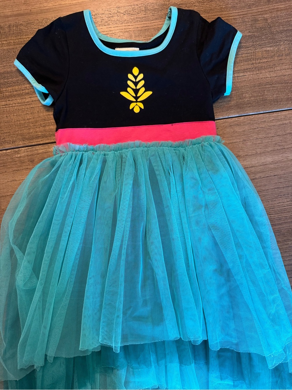 Taylor Joelle Princess Anna high low dress